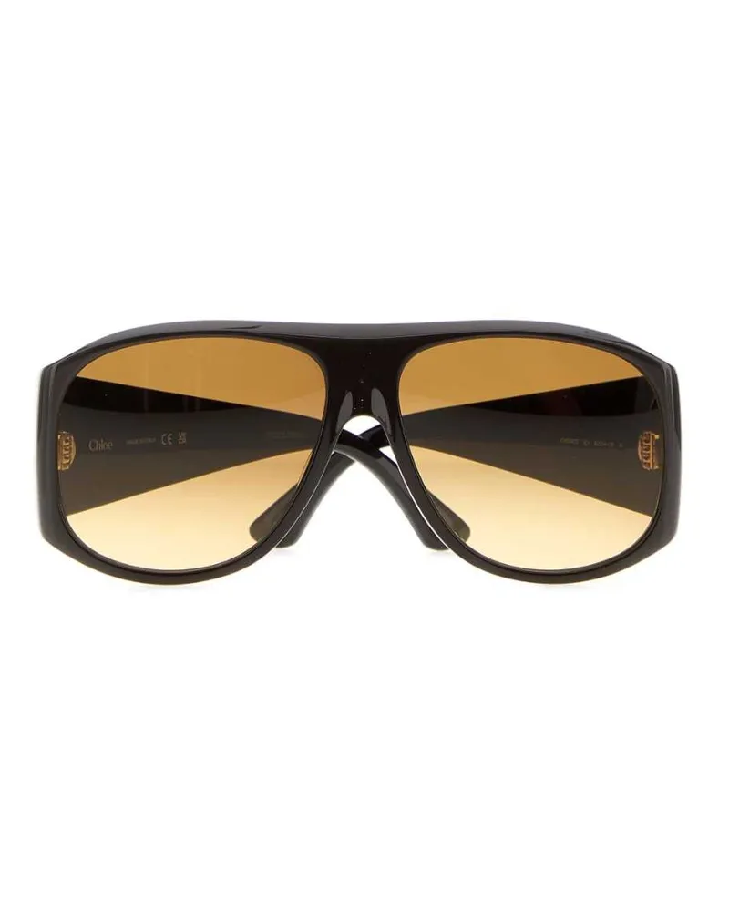 Chloé Women's Dark Brown Acetate Izia Sunglasses Brownbrownbrown Exterior: Occhiali Da Sole Brown