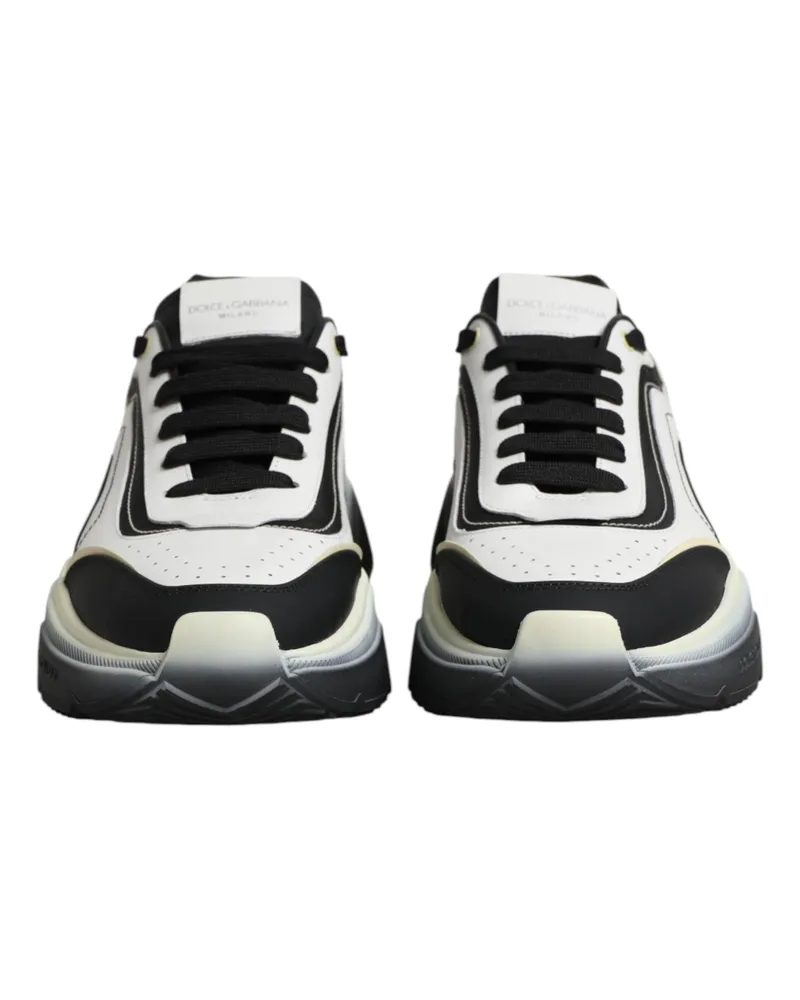 Dolce & Gabbana Daymaster Sneaker — Multicolor Multicolor