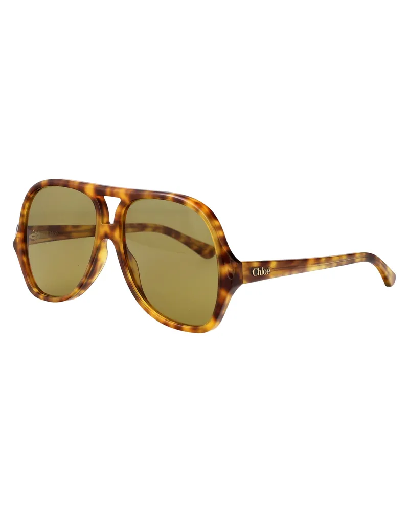 Chloé Women's Sunglasses Ch0289s Havana Green Acetate Havana-Havana-Green Havana/havana/green Brown