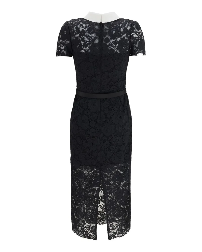 Self-Portrait Women's Lace Contrast Collar Midi Dress Black Polyester Black