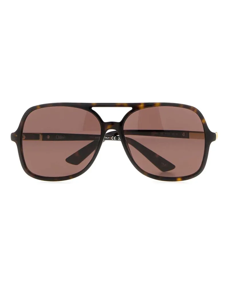 Chloé HAVANA-HAVANA-BROWN Tortoiseshell Acetate Sunglasses — Brown Brown