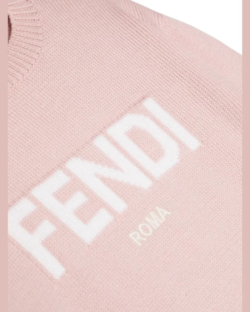 Fendi Roma Sweater — Pink Pink