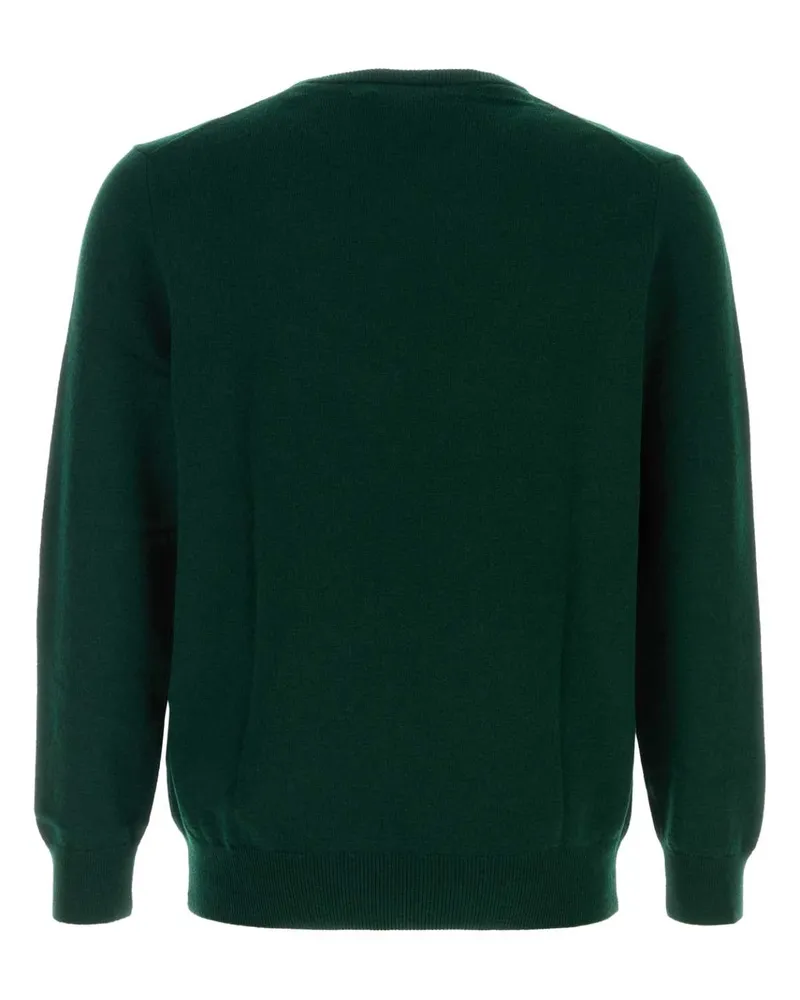 Ralph Lauren Men's Wool Crewneck Sweater Green Green