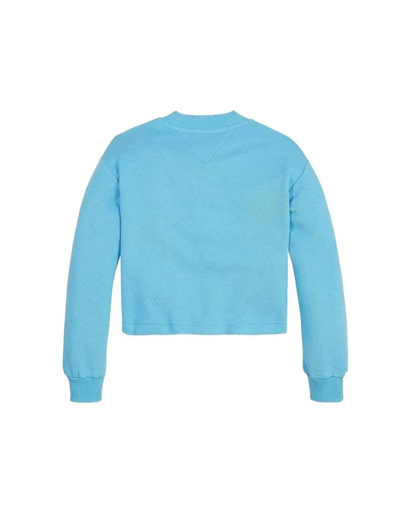 Tommy Hilfiger Sweater — Blue Blue