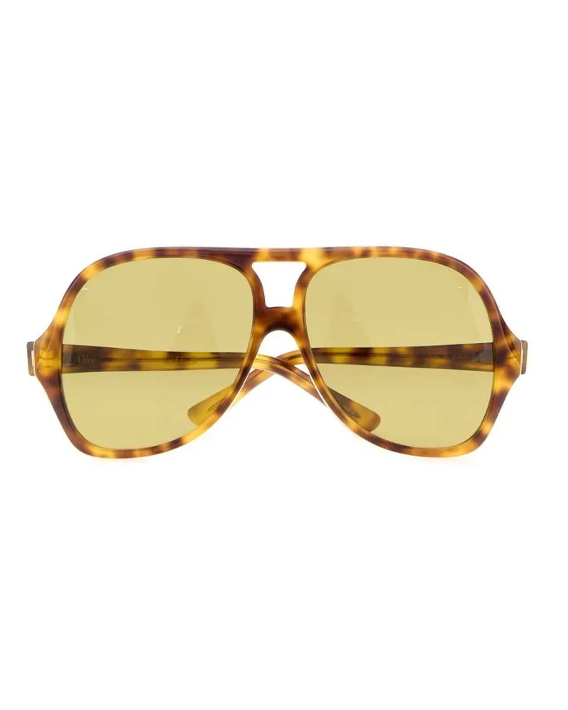 Chloé Women's Multicolor Acetate Salomã© Sunglasses Havanahavanagreen Exterior: Occhiali Da Sole Brown