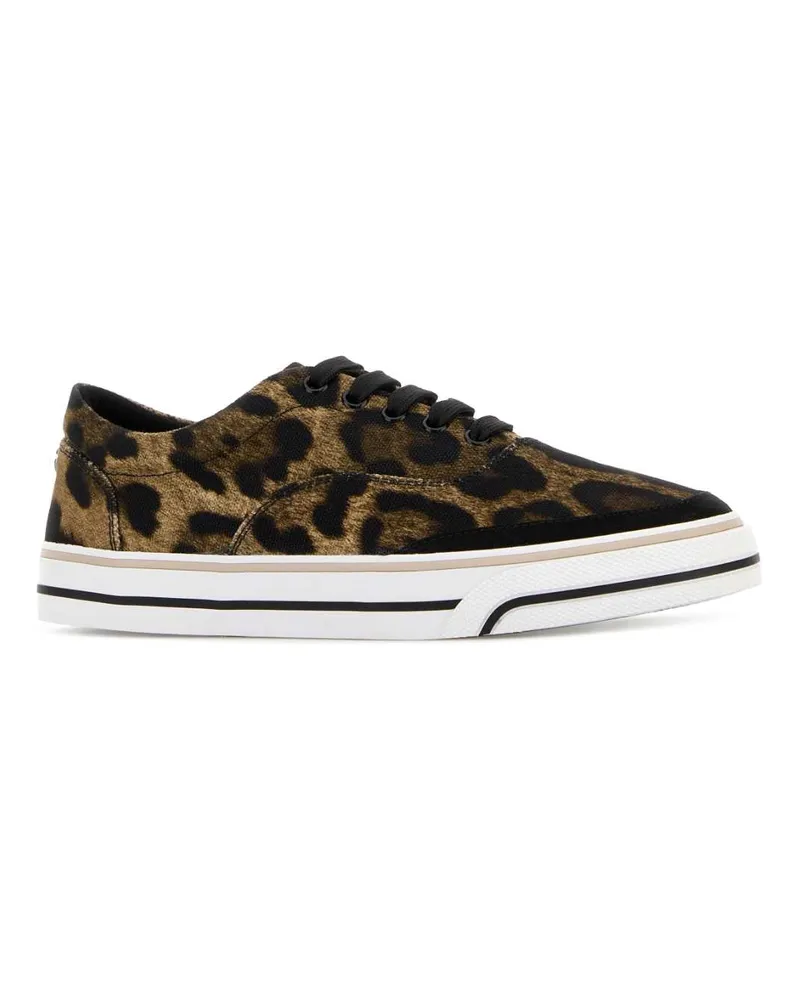 Dolce & Gabbana Leonew Sneaker Brown