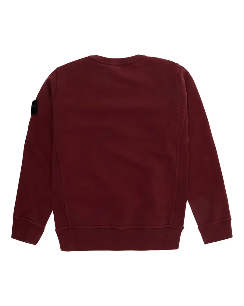 Stone Island Boys' Hoodie Red Hoods & Sweatshirts Red