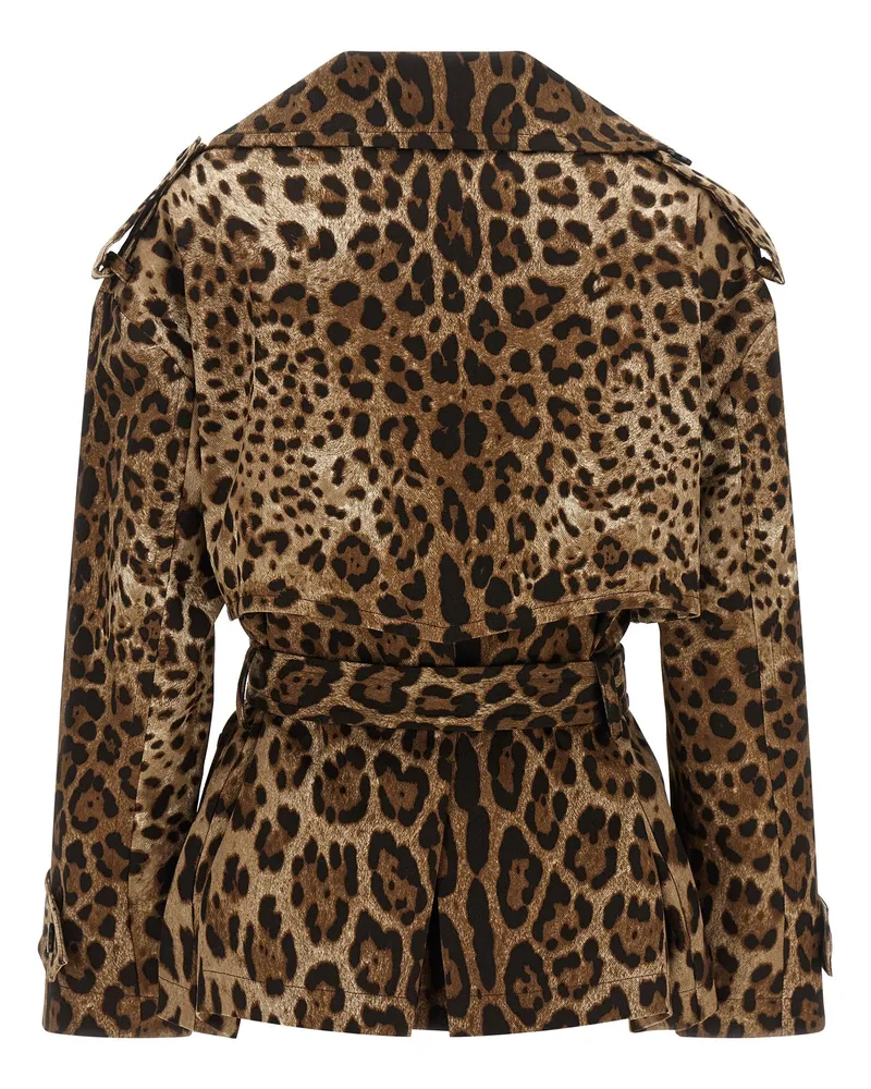 Dolce & Gabbana Women's Brown Cotton Coat Clothing Brown