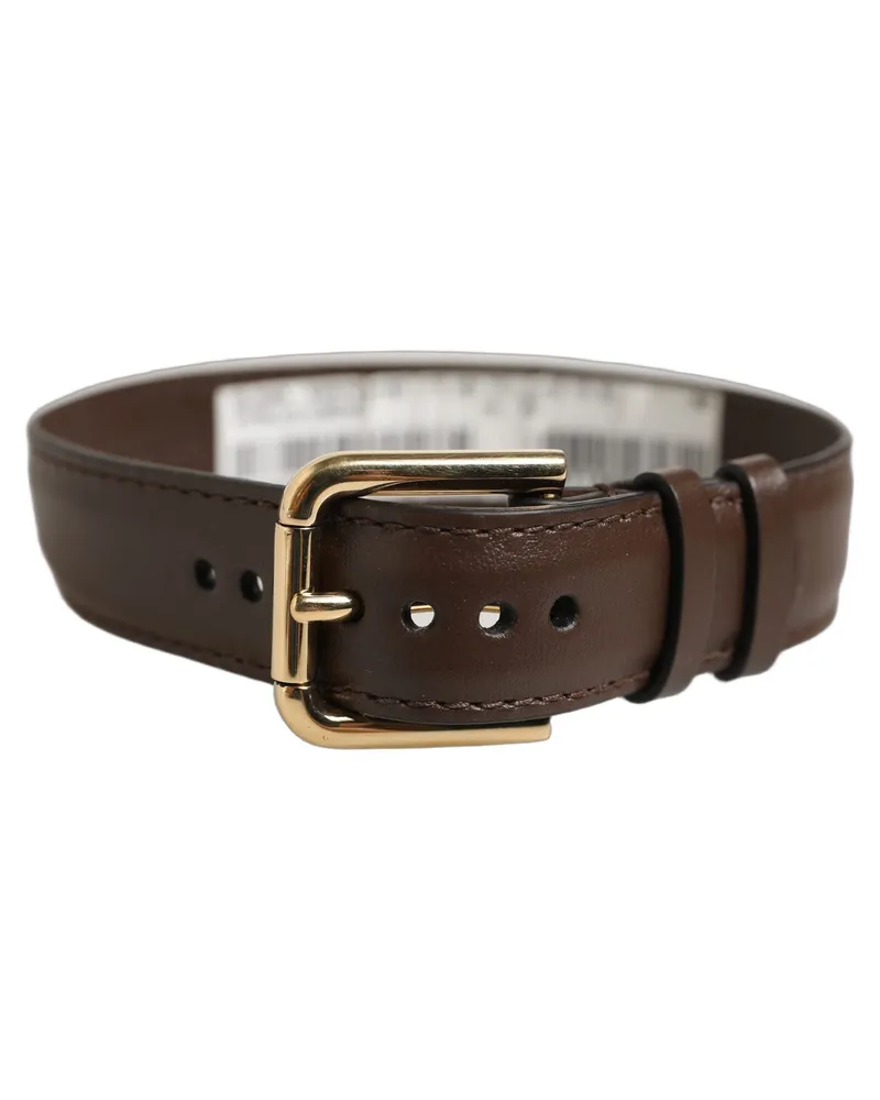 Dolce & Gabbana Women's Brown Calfskin Leather Gold Buckle Belt Strap Bracelet Calf Brown
