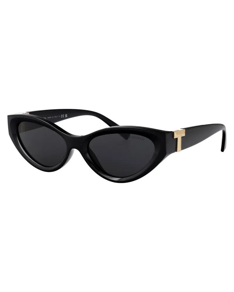 Tiffany & Co. Women's Sunglasses 0tf4225u Black Injected Black