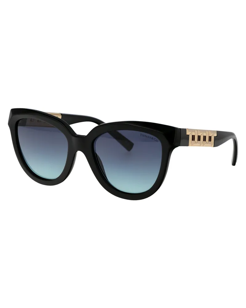Tiffany & Co. Women's Sunglasses Black Acetate Black