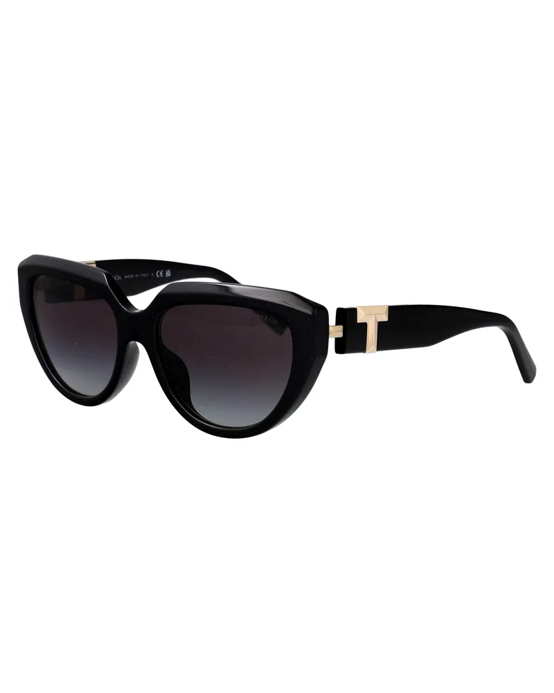 Tiffany & Co. Women's Sunglasses 0tf4238u Black Acetate Black