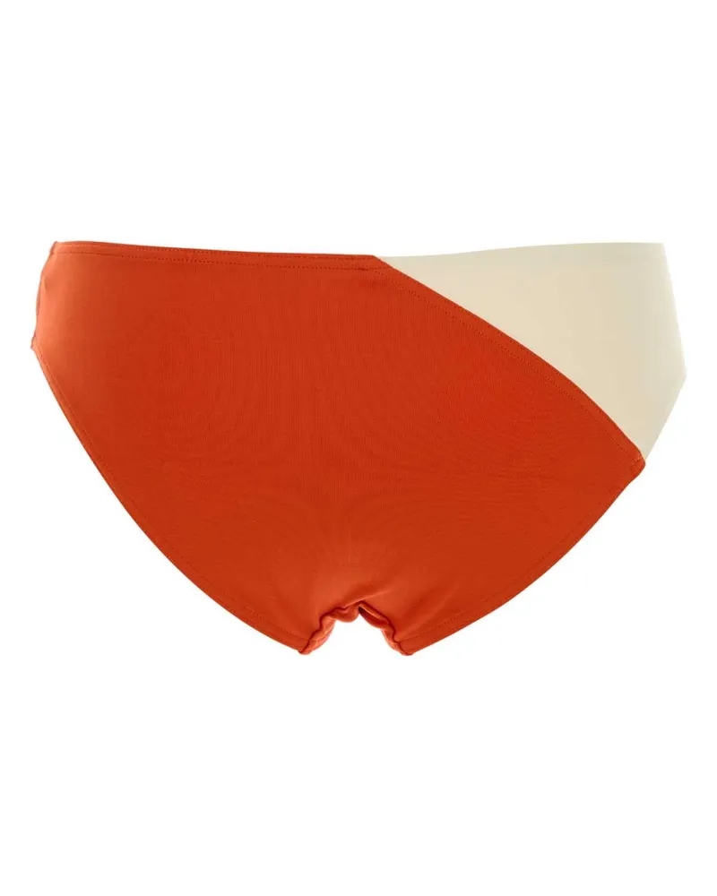 Eres Bikini Bottom — Orange Orange