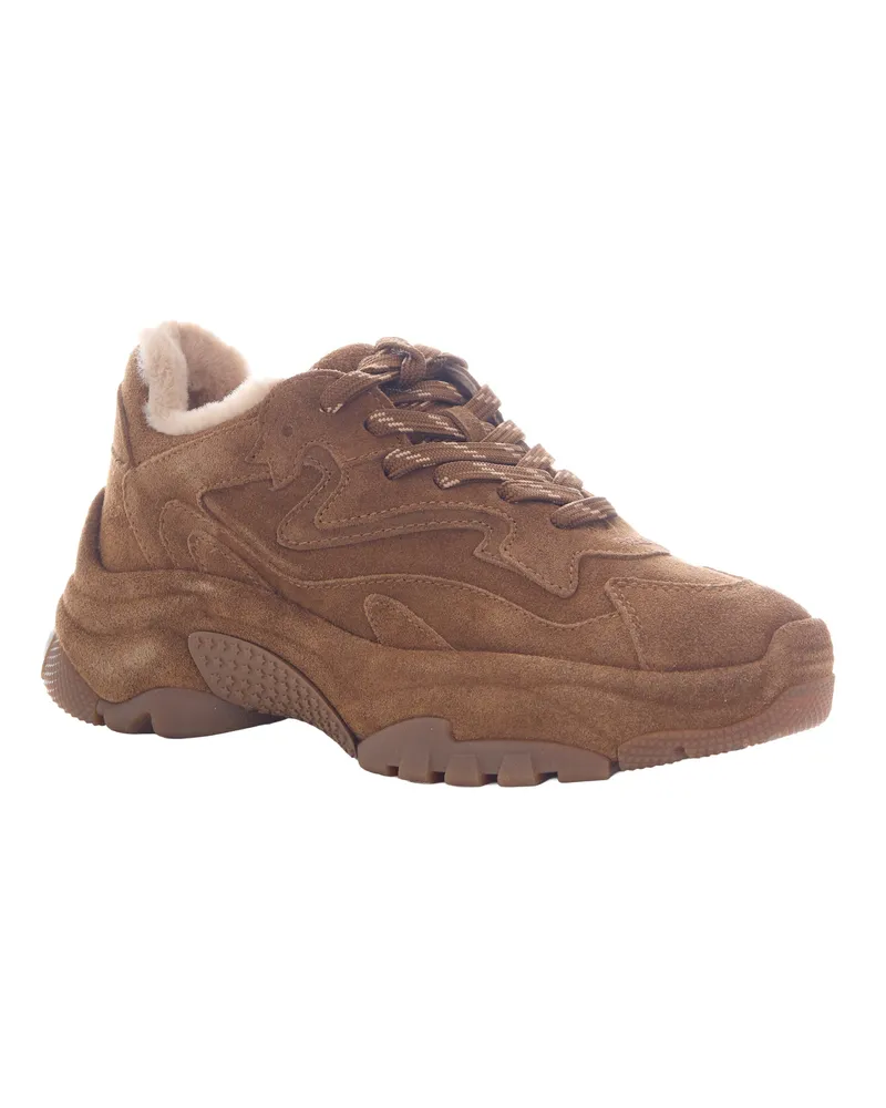 ash Addict Bis Sneaker — Brown Brown
