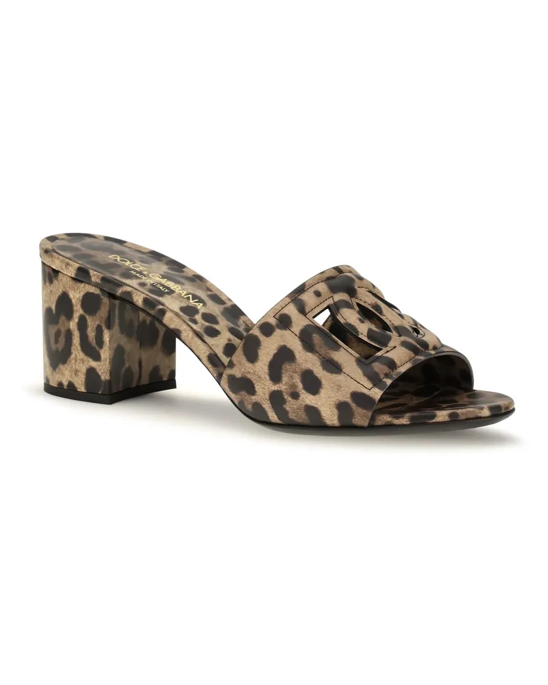 Dolce & Gabbana Women's Mules Keira Leopard Calfskin Brown Upper: Calf Leather Sandal Brown