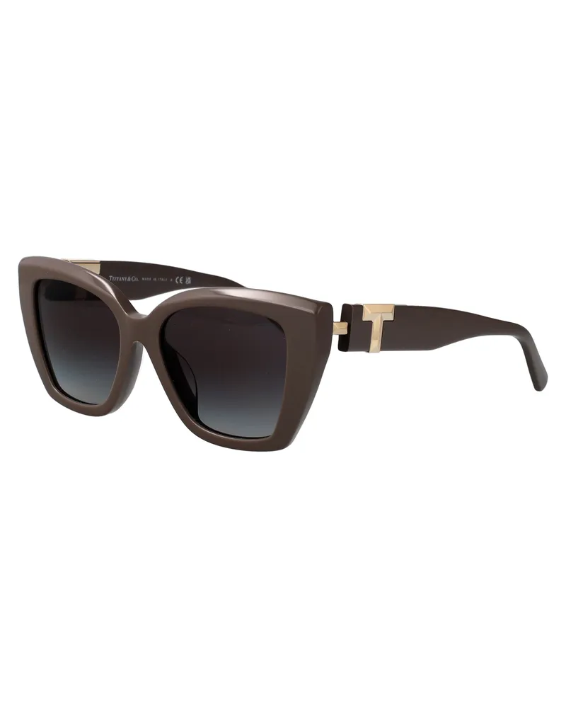 Tiffany & Co. Women's Sunglasses 0tf4239u Truffle Acetate Brown