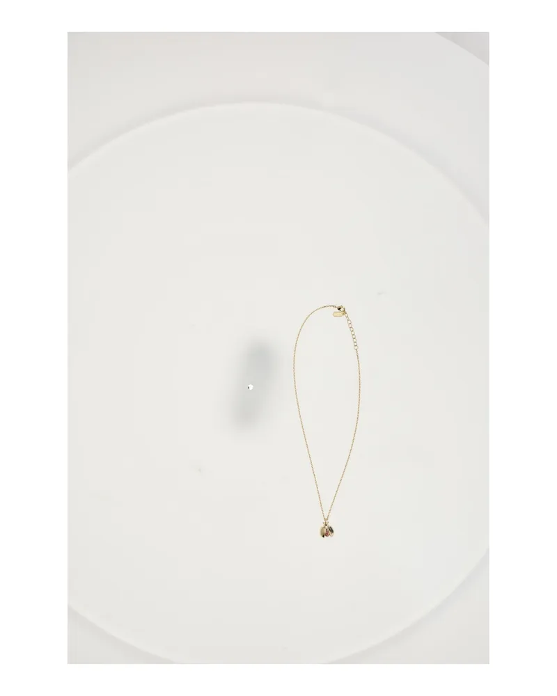 Dior Women's Necklace Lady Spark Gold General Crystal Necklaces Gold