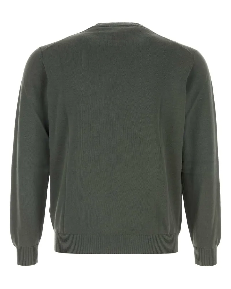 Fedeli Men's Sage Green Cotton Sweater 192 Exterior: Maglieria Green