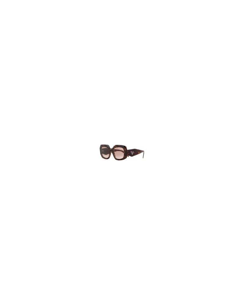 Prada Women's Printed Acetate Sunglasses Lenses Caffe Sf. Oro Exterior: Occhiali Da Sole Brown