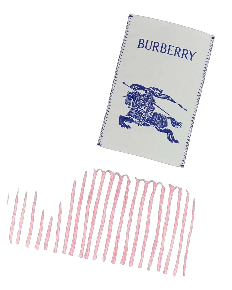 Burberry Unisex Embroidered Cashmere Scarf Sugarpink Exterior: Sciarpe E Foulard Scarfs Pink