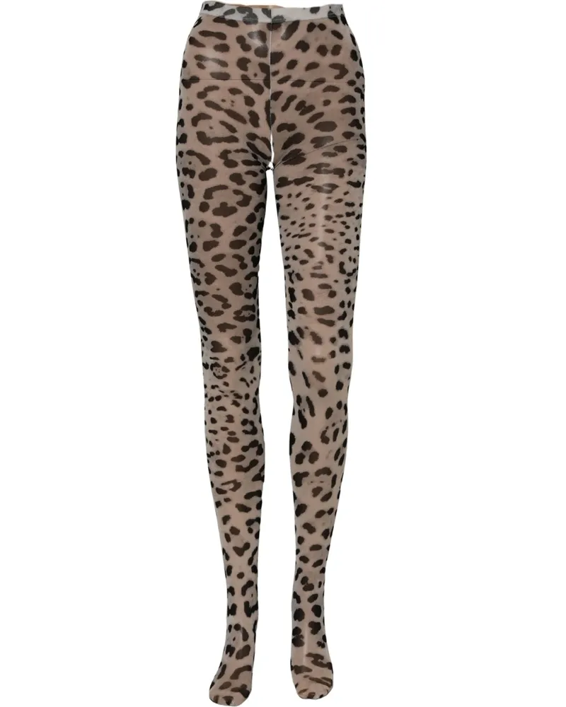 Dolce & Gabbana Leopard-Print Nylon Tights — Gray Gray