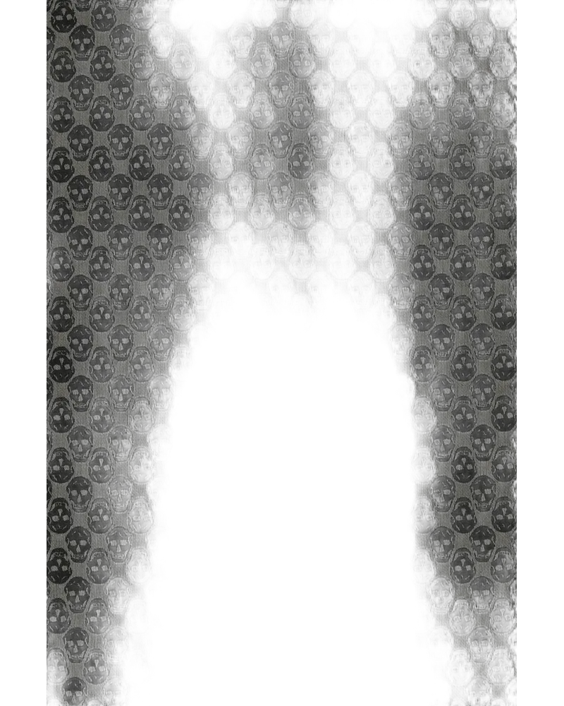 Alexander McQueen Skull-Jacquard Wool Scarf — Gray Gray