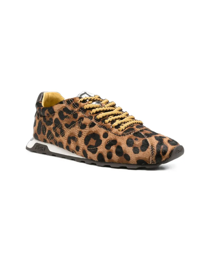 ash Killbill Sneakers — Brown Brown