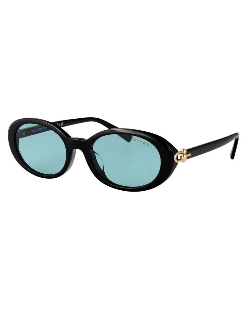 Tiffany & Co. 0TF4242D Oval Acetate Sunglasses — Black Black