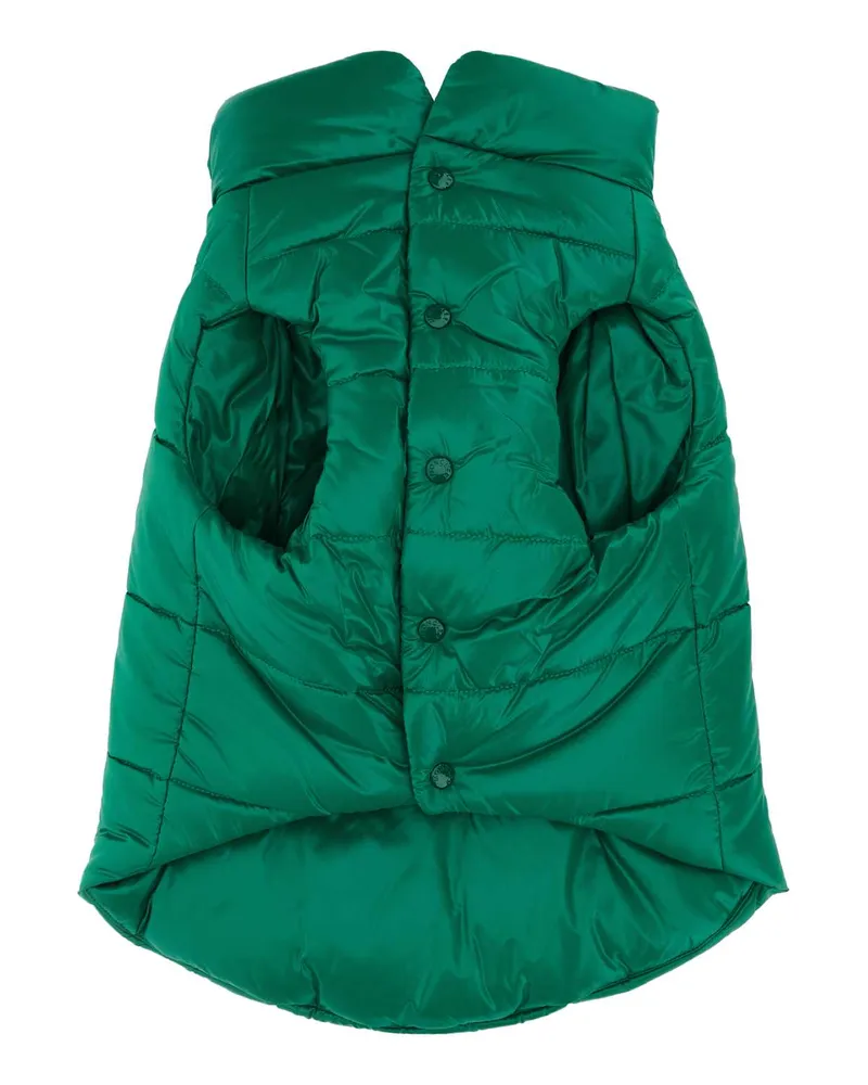 Moncler Unisex Grass Green Nylon Dog Padded Jacket 84k Extra-Accessori Accessory Green