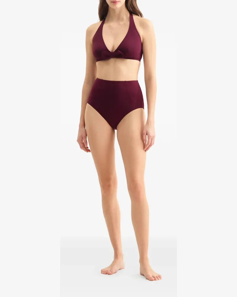 Eres Women's Misted High-Waisted Briefs Aw25 W Burgundy