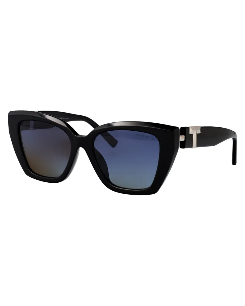 Tiffany & Co. Women's Sunglasses Black Acetate Black