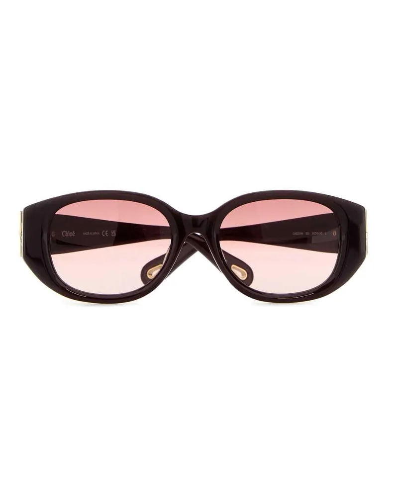 Chloé OCCHIALI Rounded Acetate Sunglasses — Burgundy Burgundy