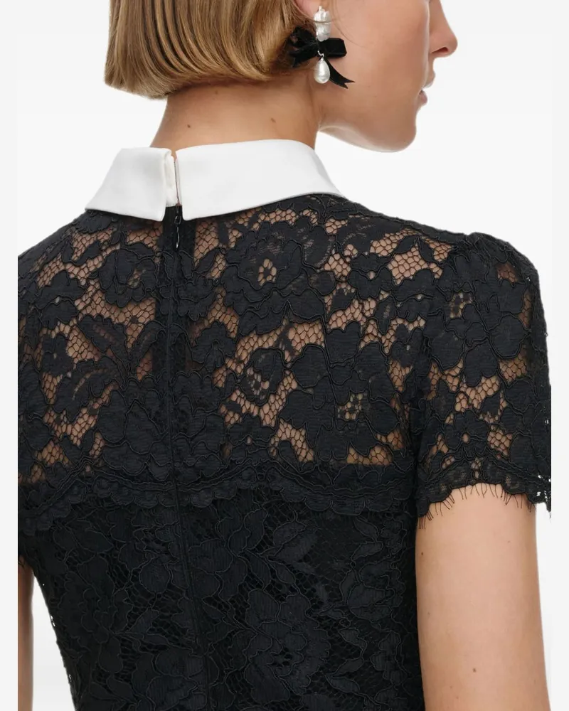 Self-Portrait Lace Collar Dress — Black Black