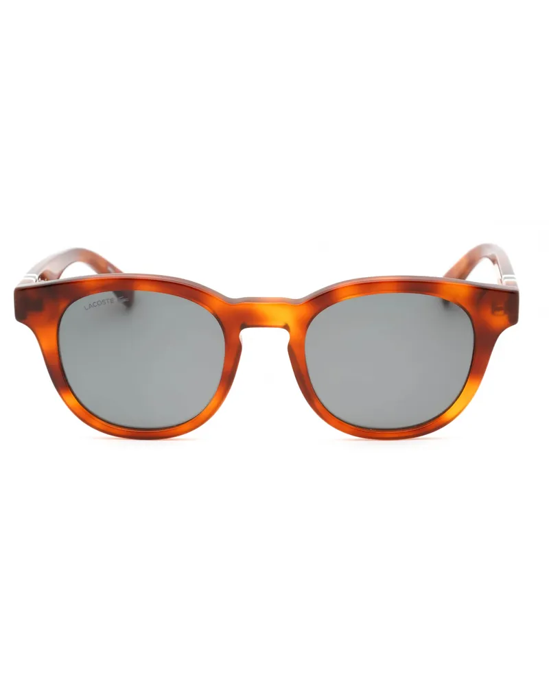 Lacoste Men's L6006s Sunglasses Brown Brown