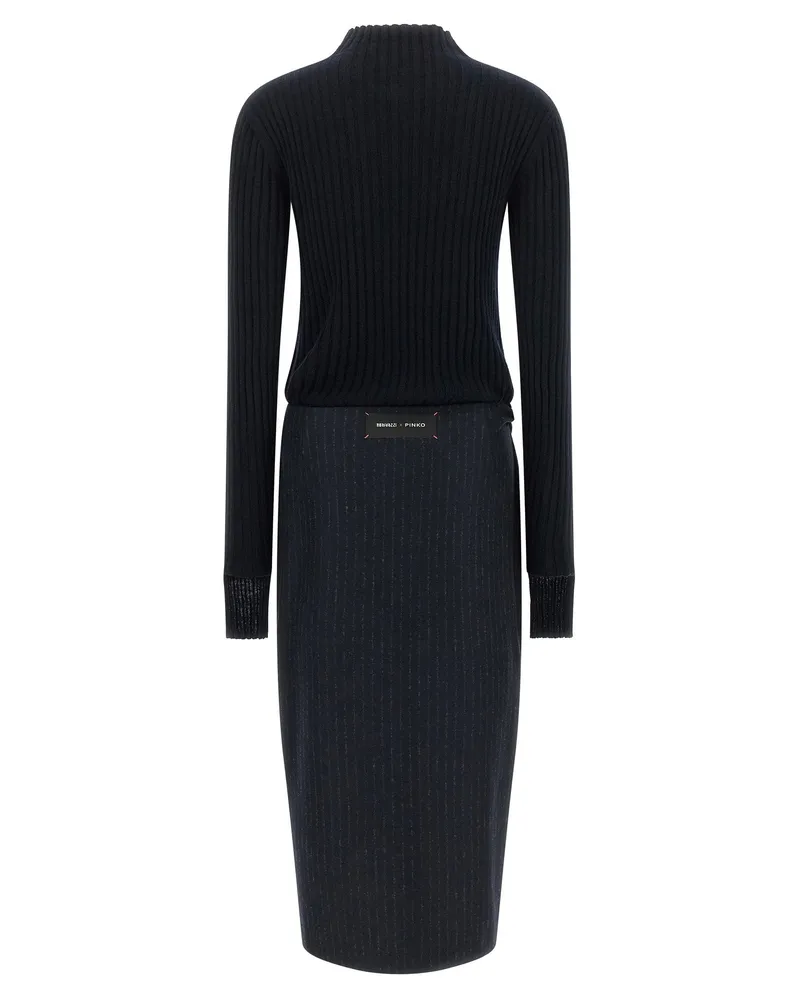 Pinko Dianella Dress 
