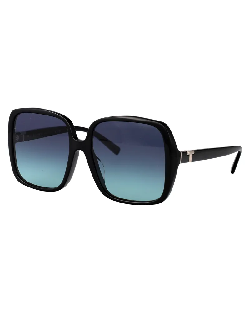 Tiffany & Co. Women's Sunglasses Black Acetate Black