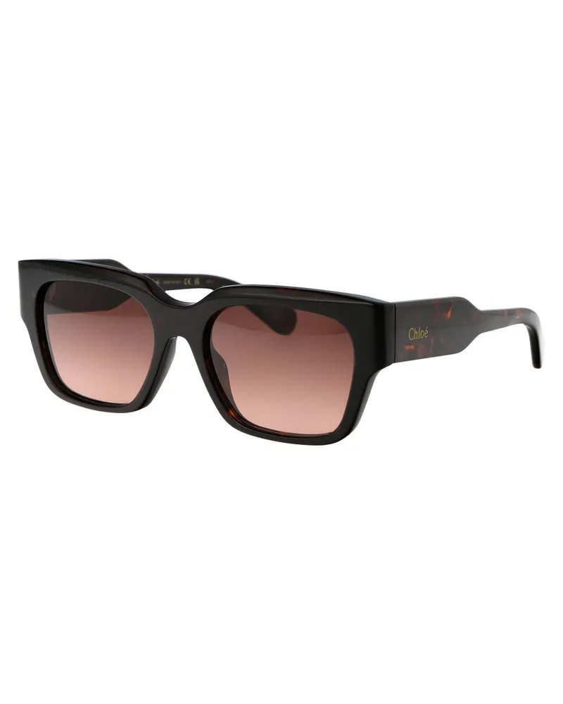 Chloé Women's Sunglasses Ch0190s Havana-Copper Acetate Havana-Havana-Copper Havana/havana/copper Brown