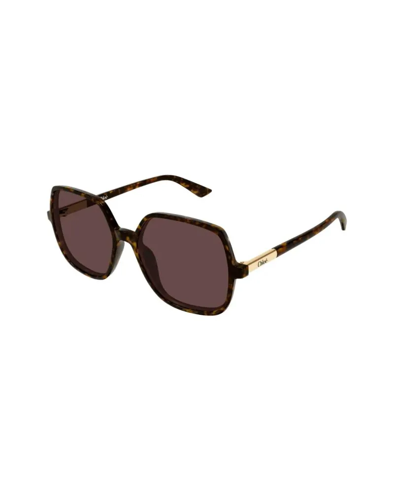 Chloé CH0362S Recycled Acetate Sunglasses — Brown Brown