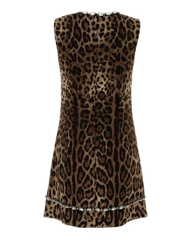 Dolce & Gabbana Women's Cady Str.st.leo 3 Schiene G315 Leo New Abiti Dress Brown