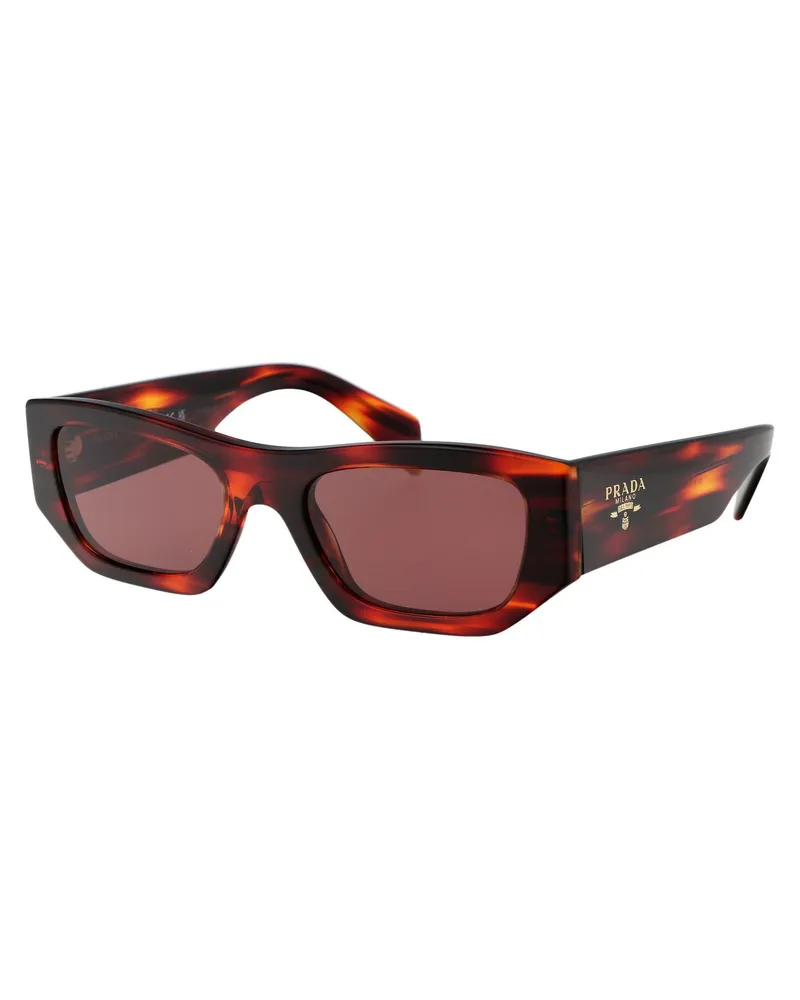 Prada Unisex Sunglasses 0pr A01s Havana Red Acetate Red