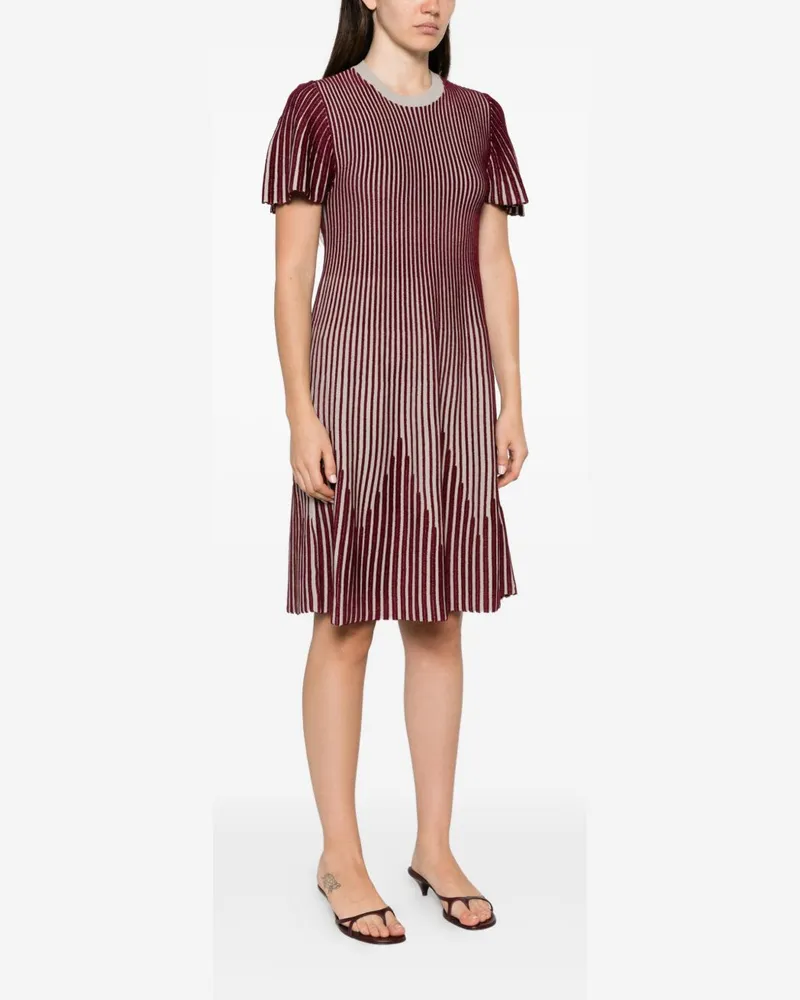 Emporio Armani Striped Ribbed Dress — Burgundy Burgundy