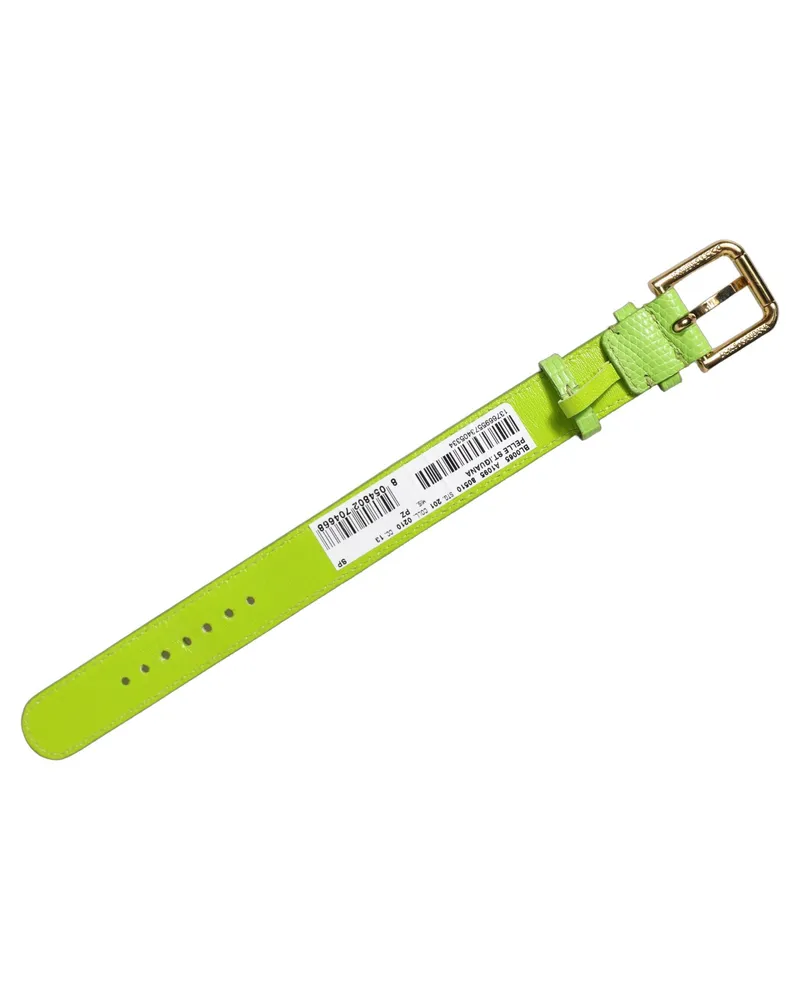 Dolce & Gabbana Women's Green Textured Leather Gold Buckle Belt Strap Bracelet Calf Green