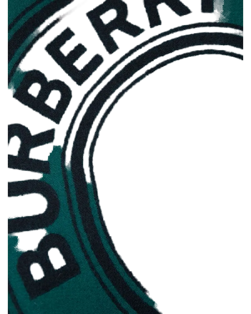 Burberry Roundel Jacquard Wool Scarf — Green Green