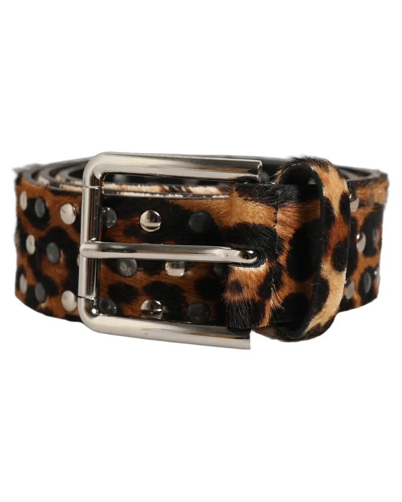 Dolce & Gabbana Leopard Calf Hair Studs Belt — Brown Brown