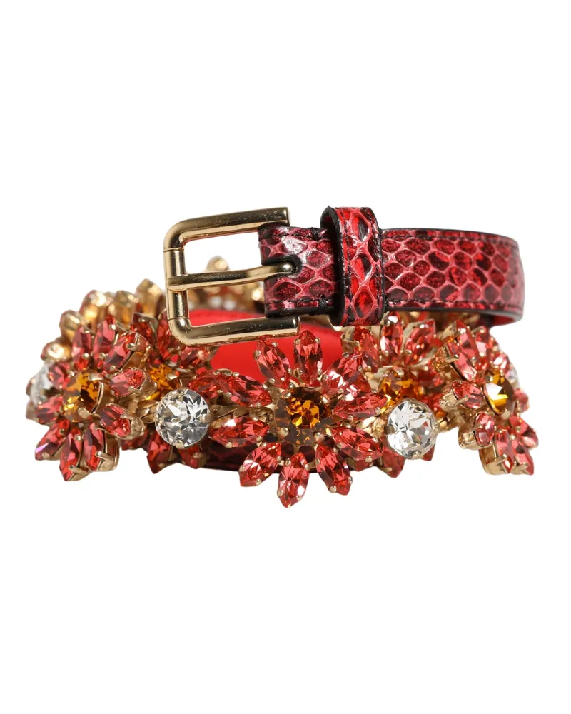 Dolce & Gabbana Women's Red Leather Daisy Crystal Embellished Waist Belt Cristal Real Brass Ayers Red