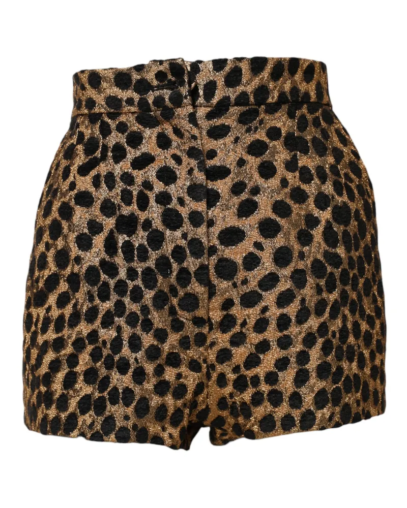 Dolce & Gabbana Women Brown Leopard High Waisted Hot Pants Shorts Brown