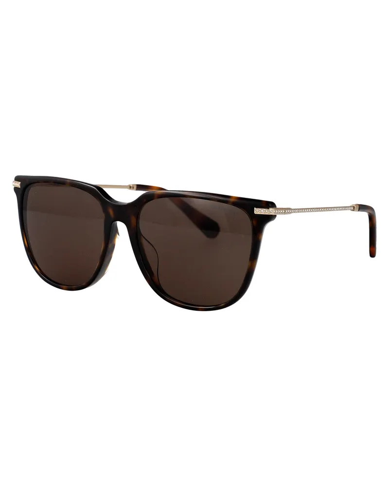 Swarovski Women's Sunglasses 0sk6015d Dark Havana Acetate Brown
