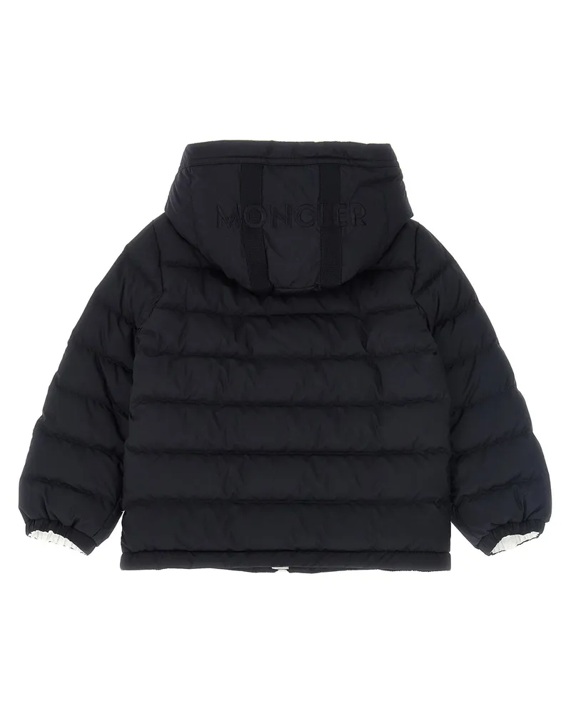 Moncler Down Jacket — Navy Navy