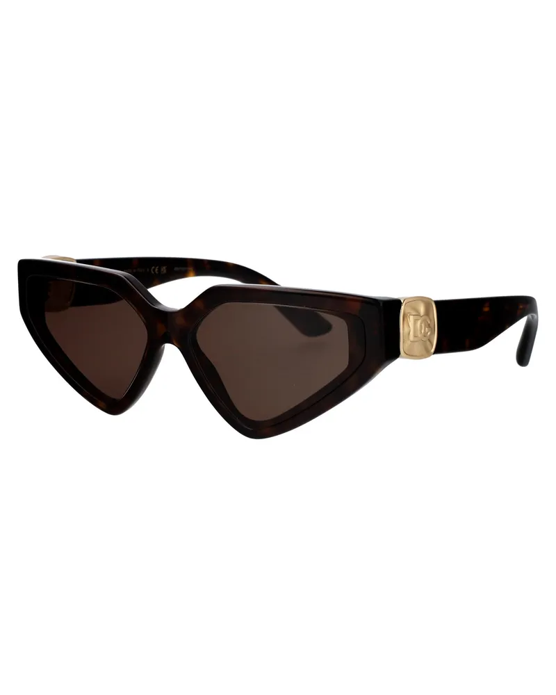 Dolce & Gabbana Women's Sunglasses 0dg4469 Havana Acetate Brown
