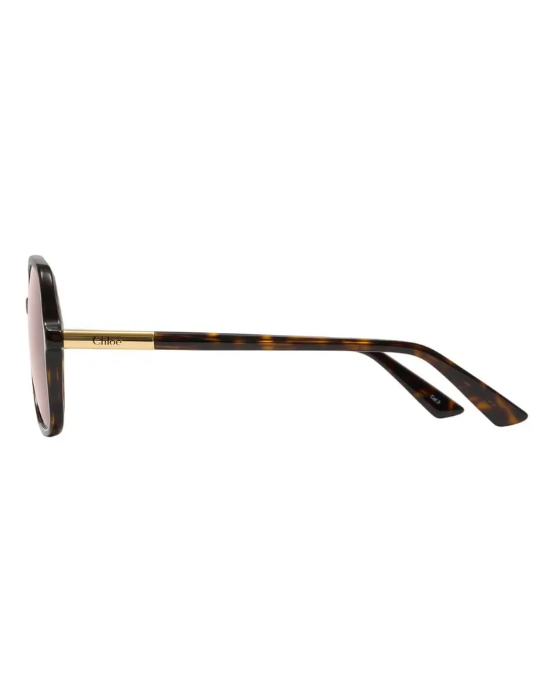 Chloé Women's Ch0364s Sunglasses -  Acetate Brown Accessories Brown